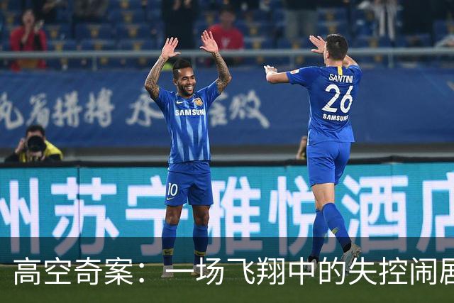 高空奇案：一场飞翔中的失控闹剧